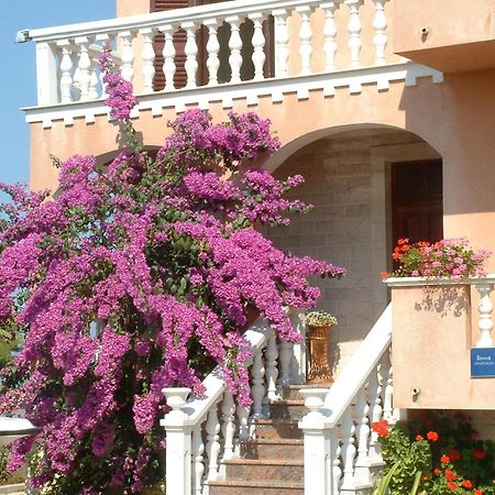 Apartment Valerija Privlaka  Exterior photo